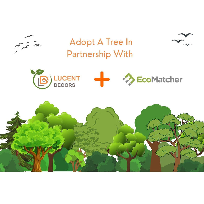Plant A Tree in Uganda - eco conscious